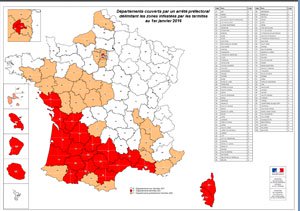 Carte infestation termites NORD